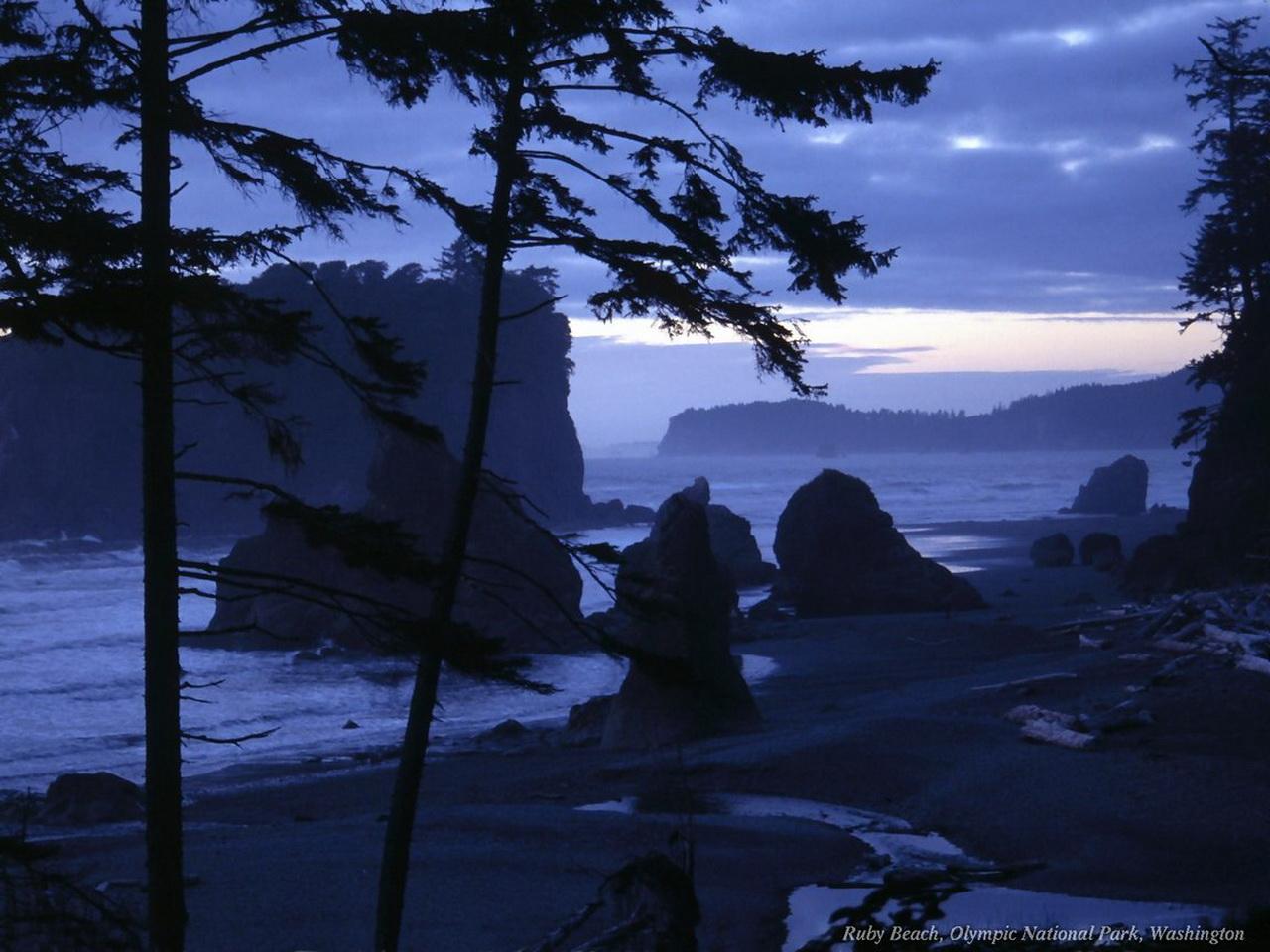 обои Ruby Beach,   Washington фото