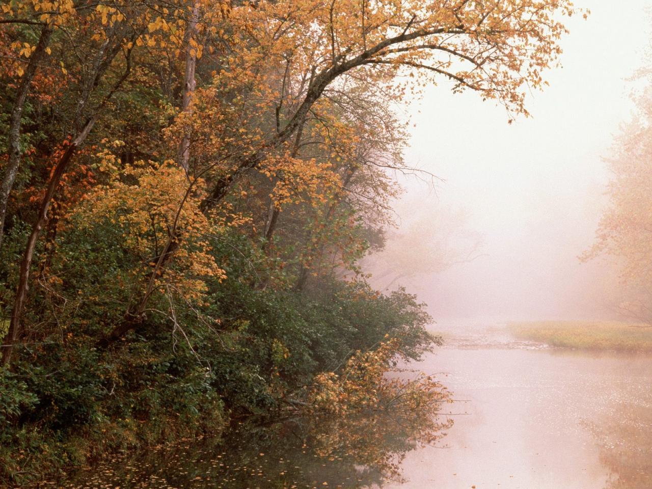 обои Buffalo National River,   Arkansas фото