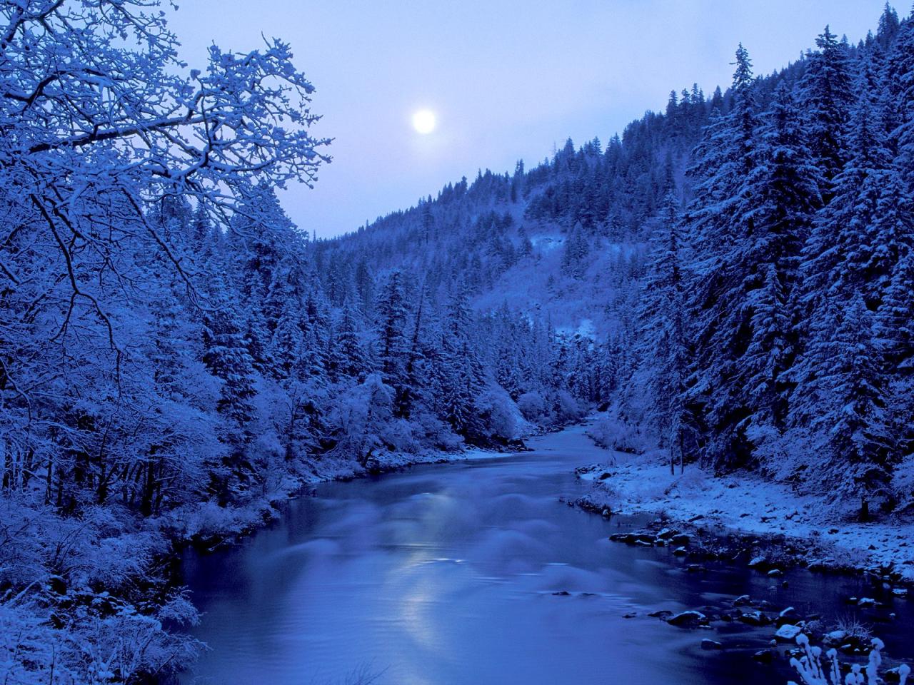 обои By the Light of the Moon,   Scott River,   Klamath National Forest,   California фото