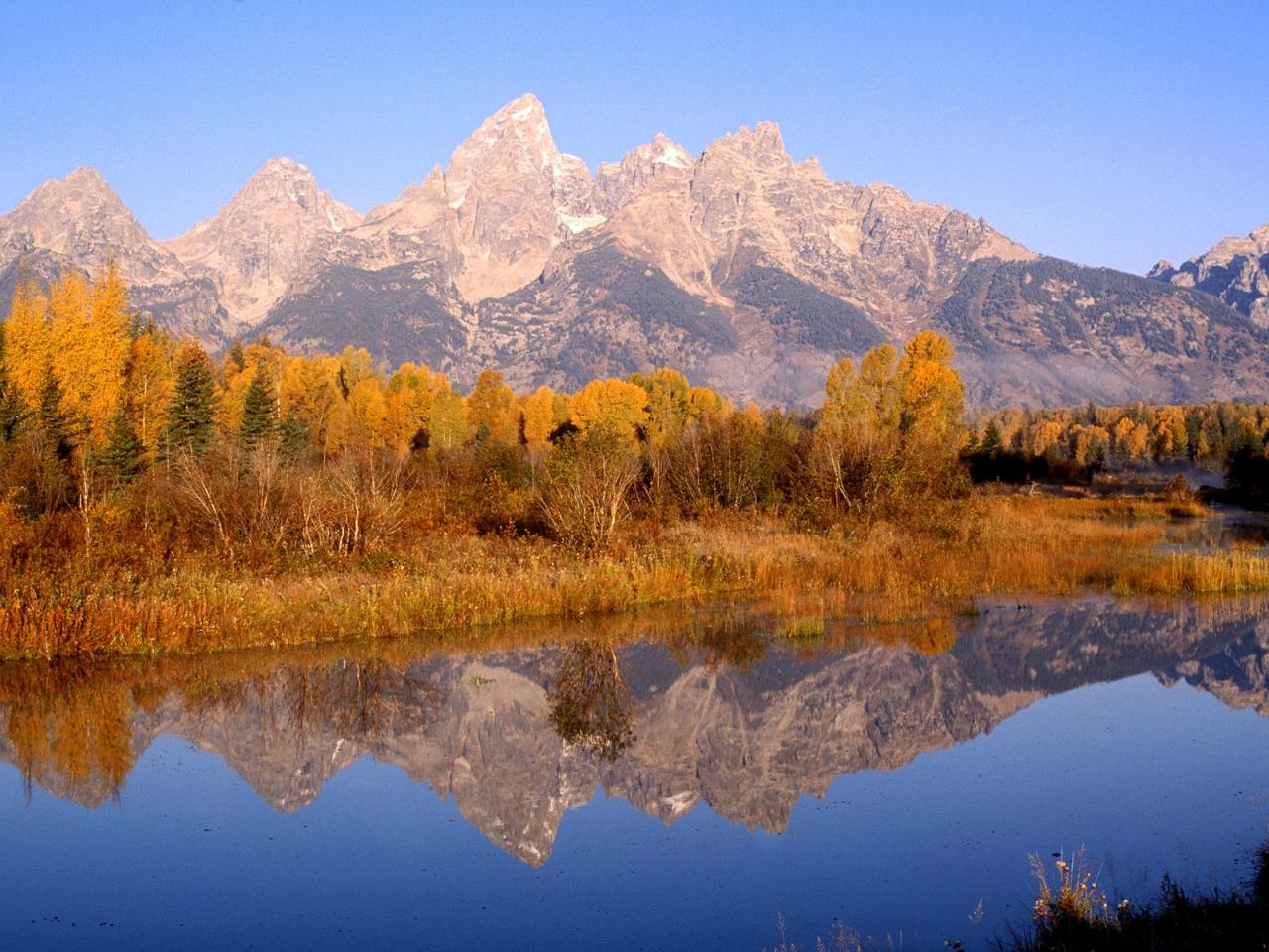 обои Grand Reflection,   Grand Teton National Park,   Wyoming фото