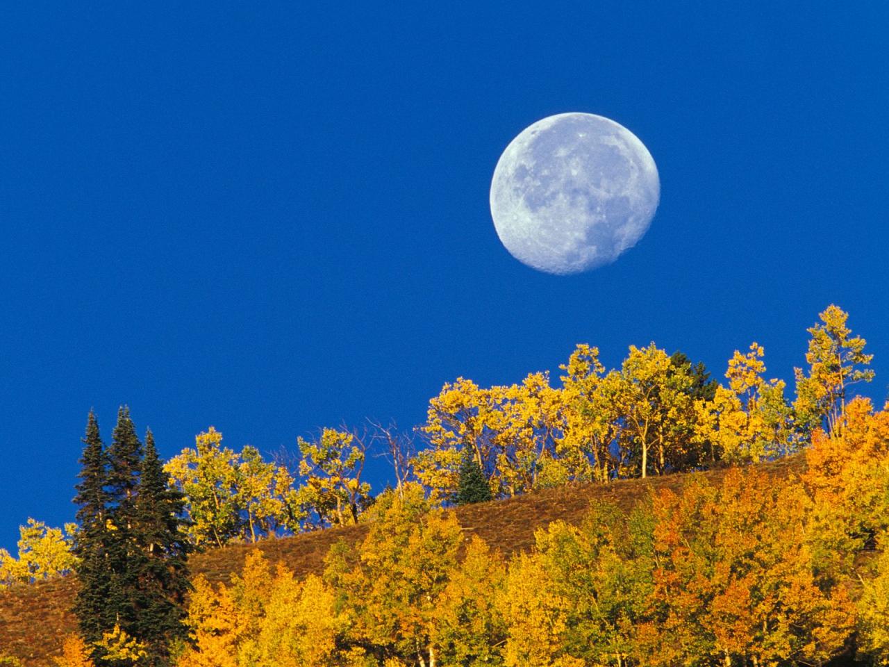 обои Moon Setting at First Light,   Crested Butte,   Colorado фото