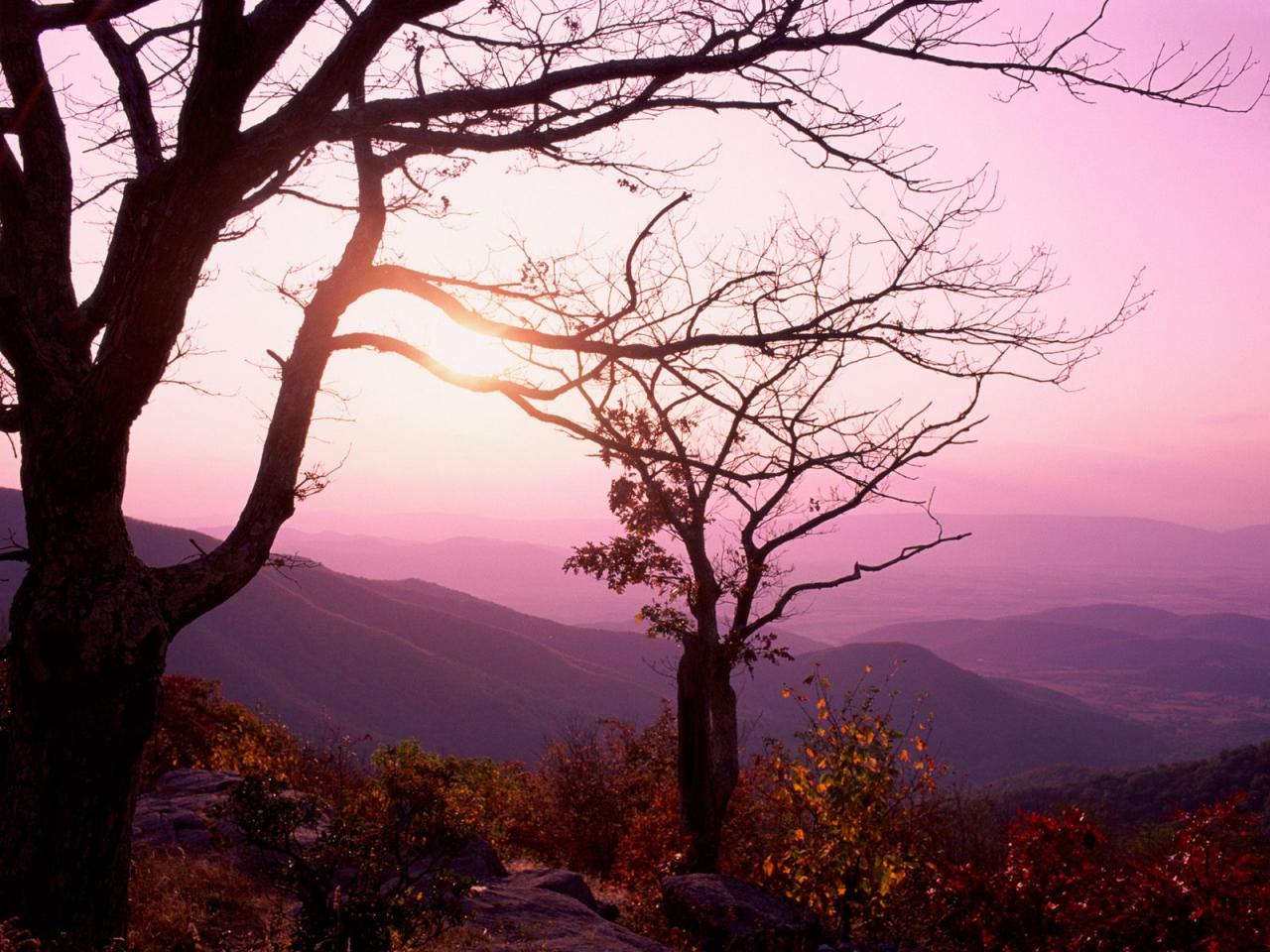 обои Shenandoah National Park,   Virginia фото