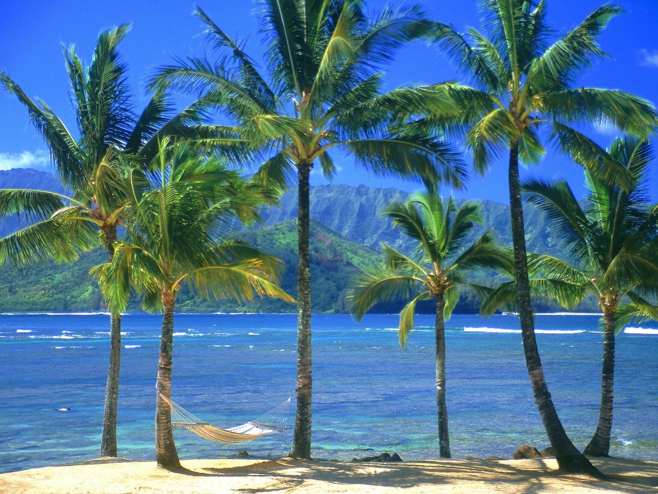 обои An Empty Hammock,   Kauai,   Hawaii фото