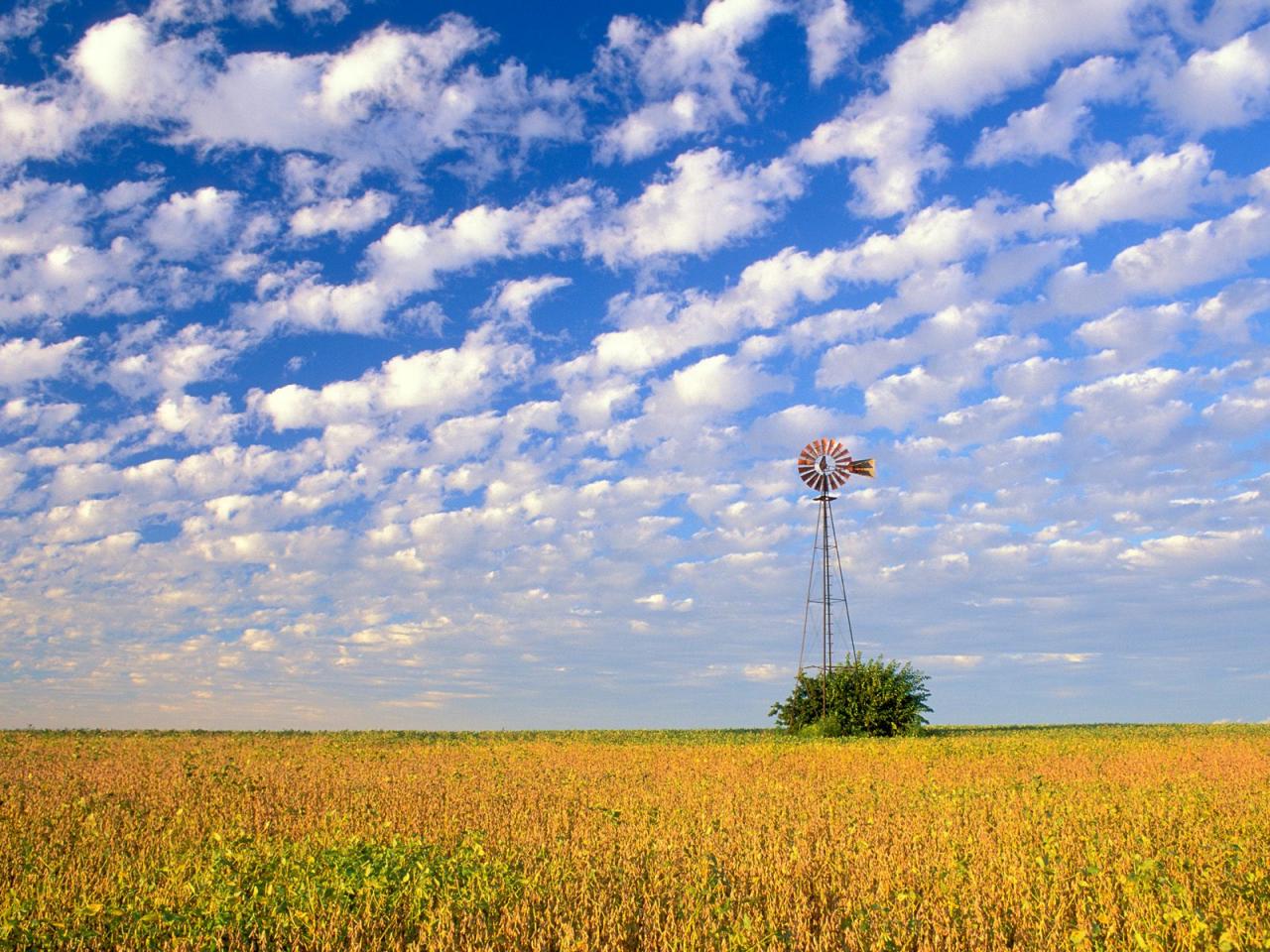обои Country Field,   Illinois фото