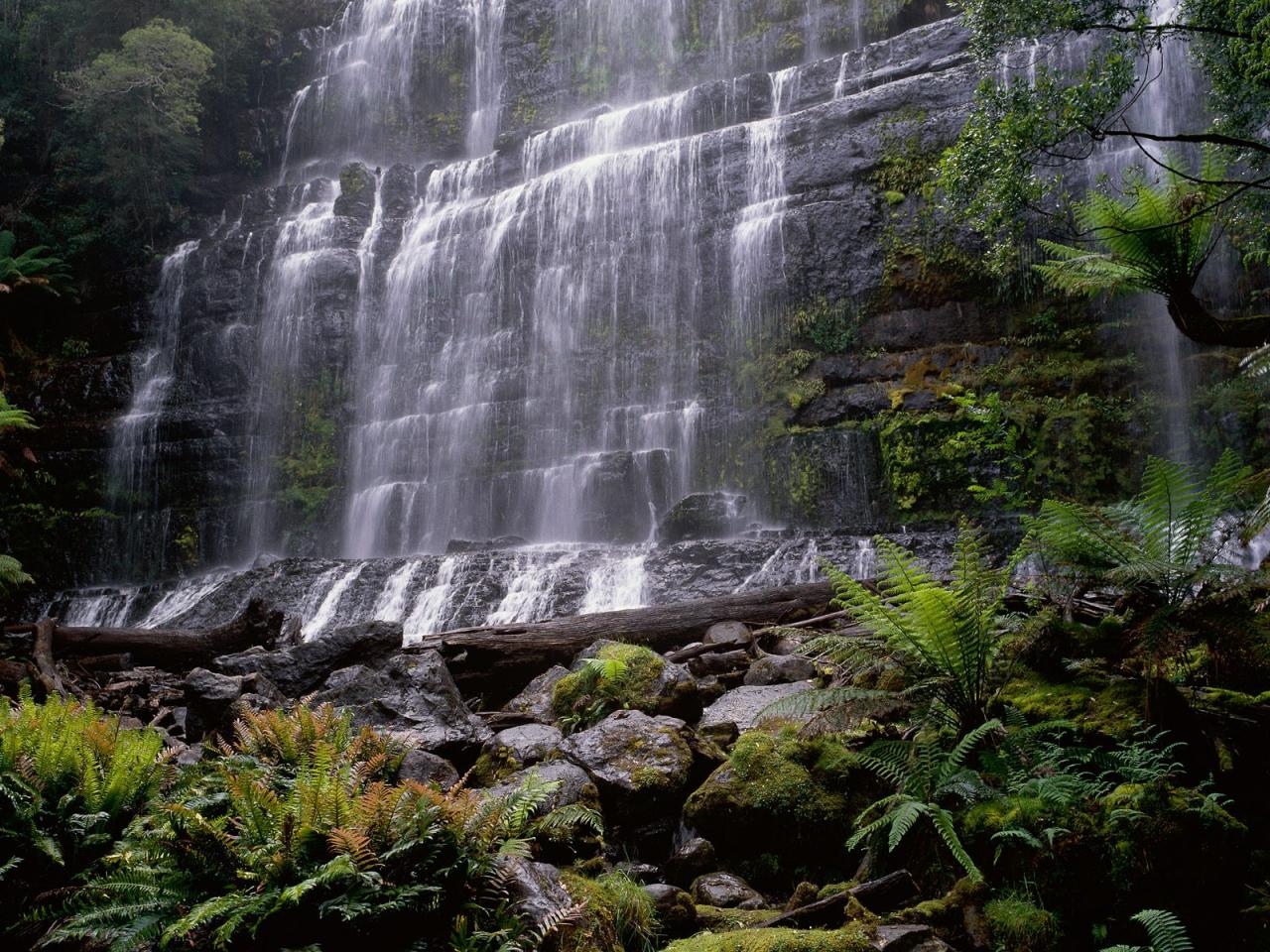 обои Russell Falls,   Mount Field National Park,   Tasmania,   Australia фото