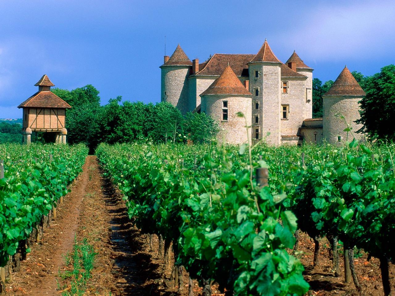 обои Vineyard,   Cahors,   Lot Valley,   France фото