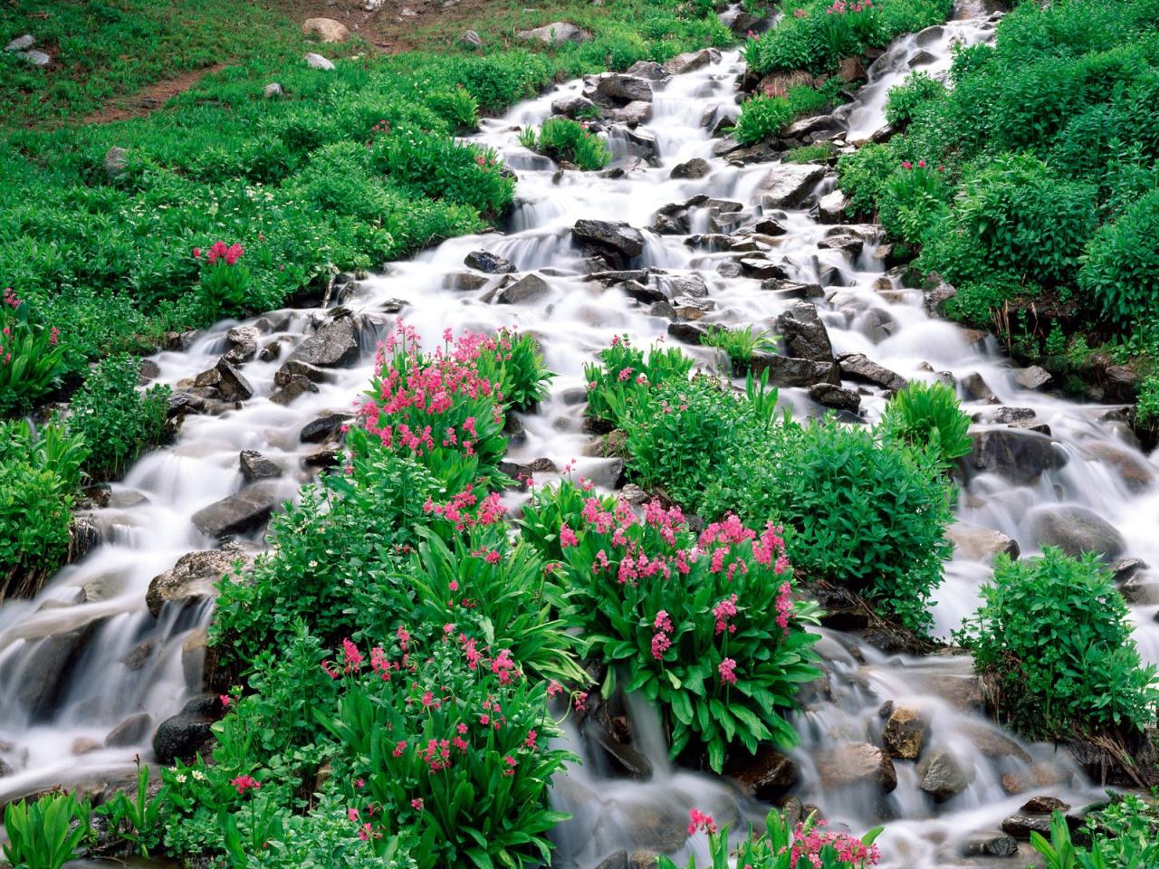 обои Indian Peaks Wilderness,   Roosevelt National Forest,   Colorado фото