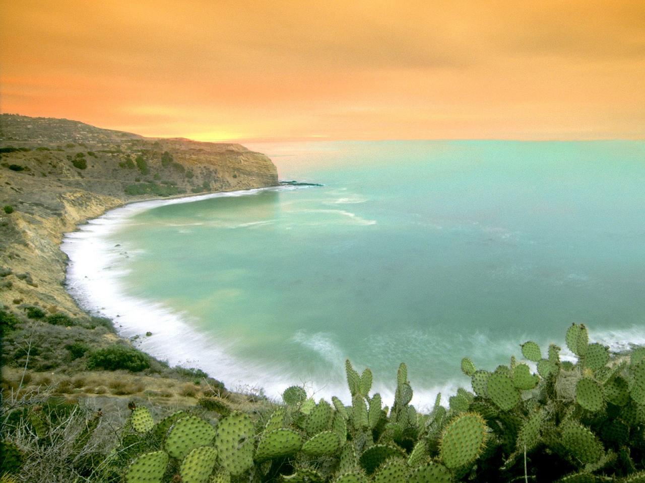 обои Cactus Sunrise,   Palos Verde Peninsula,   California фото