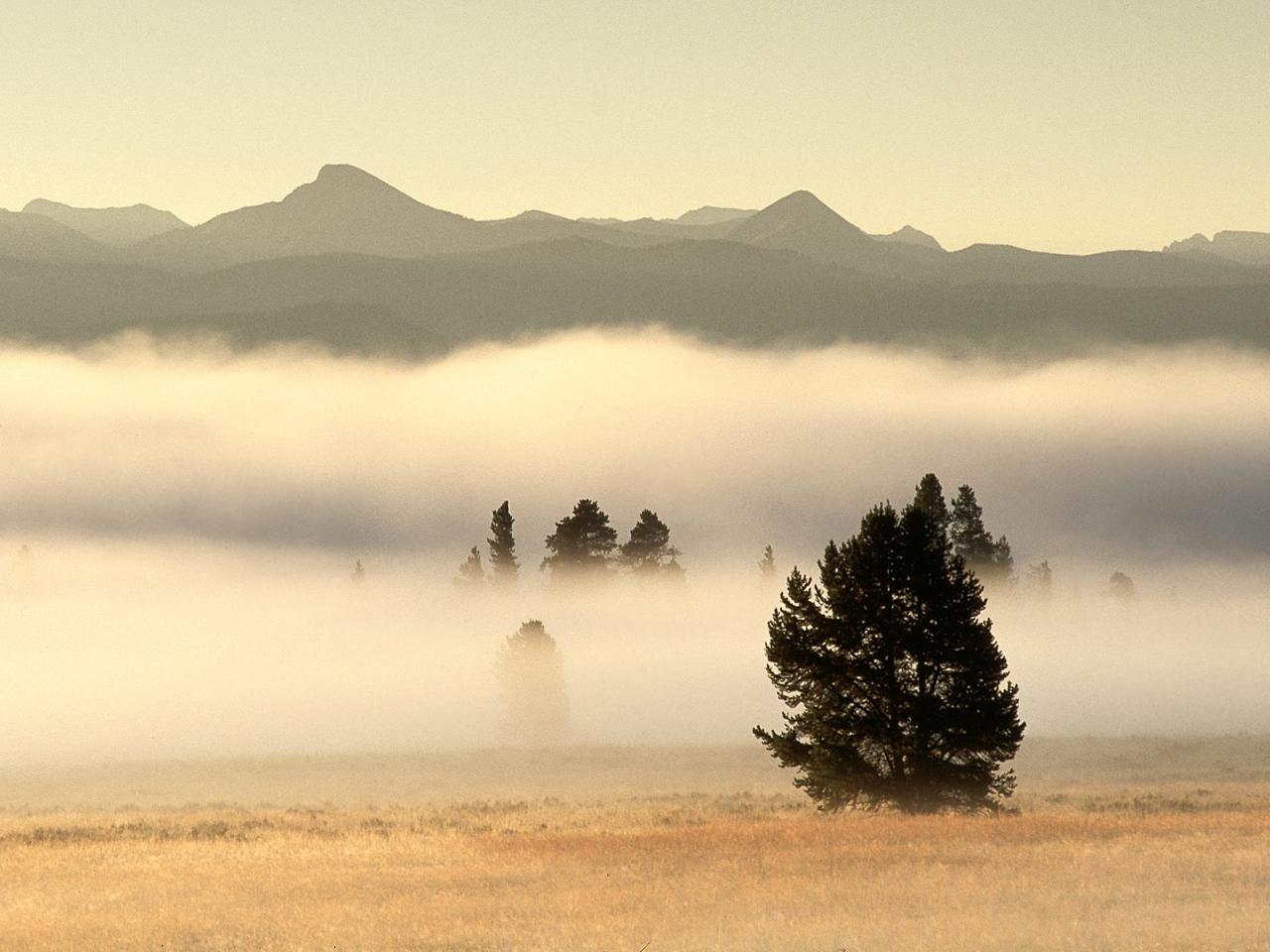 обои Fog at Sunrise,   Pelican Valley,   Yellowstone National Park,   Wyoming фото