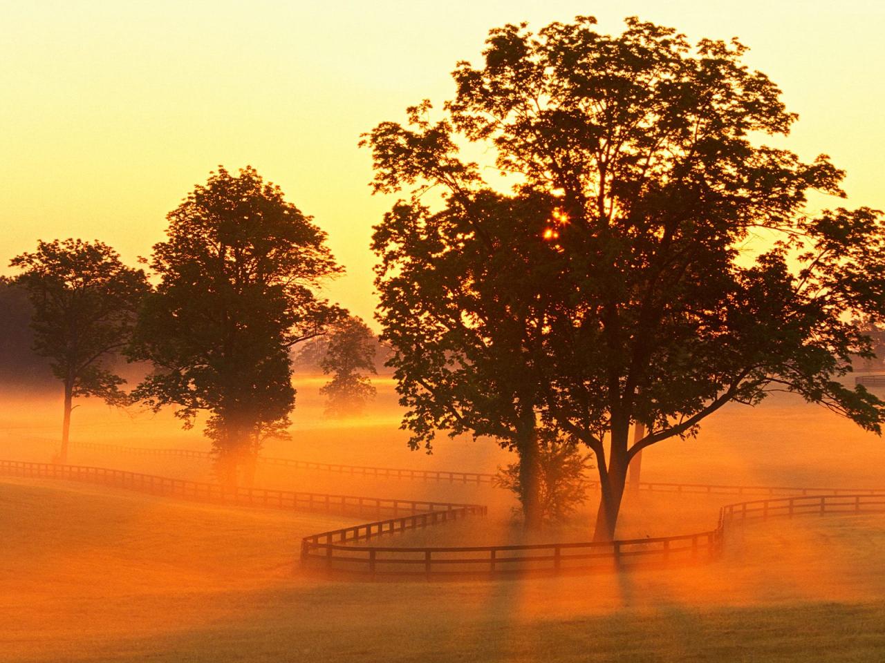 обои Horse Farm Sunrise,   Versailles,   Kentucky фото