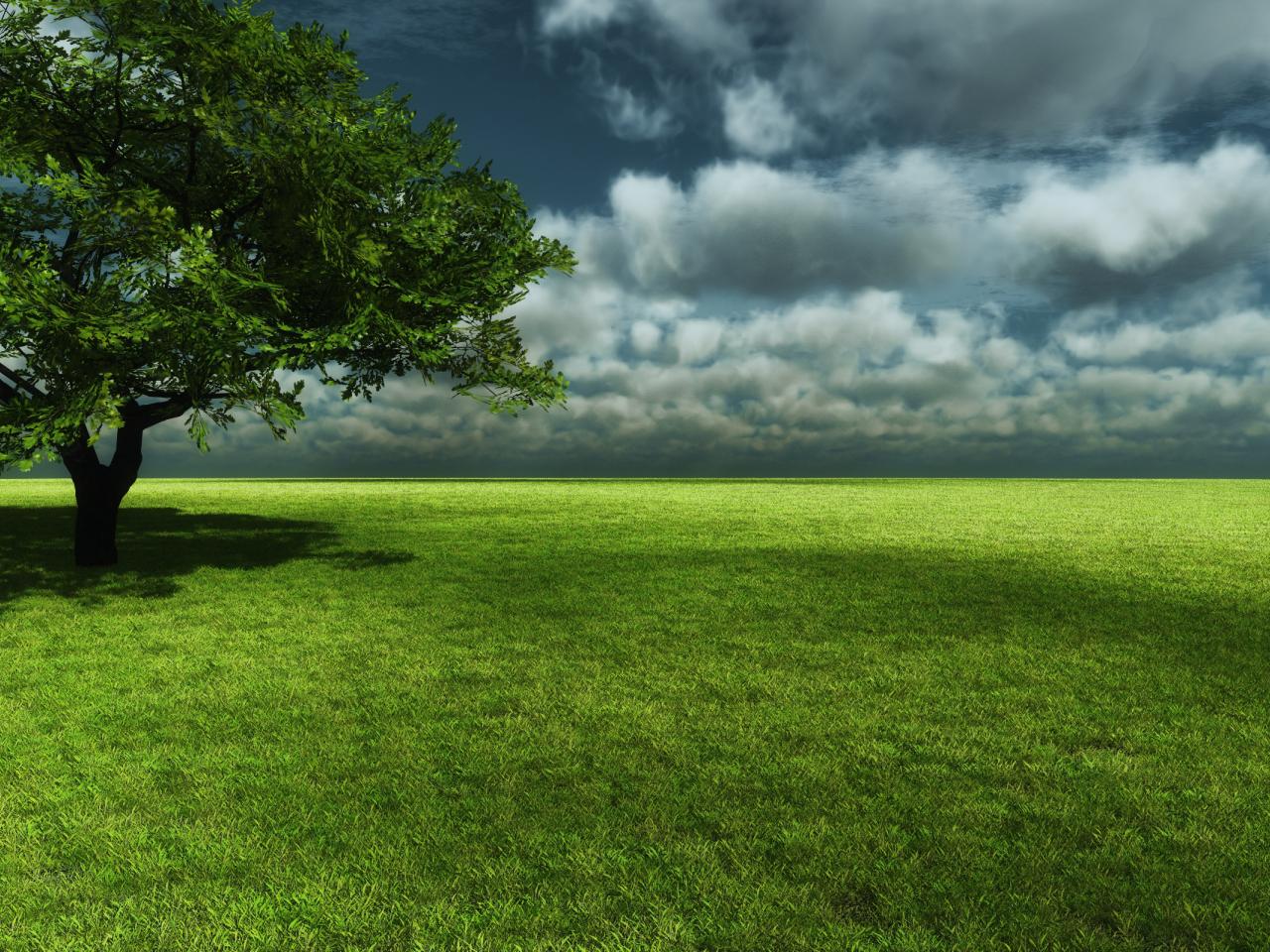 обои Большой зеленый луг под облачным пасмурным небом фото