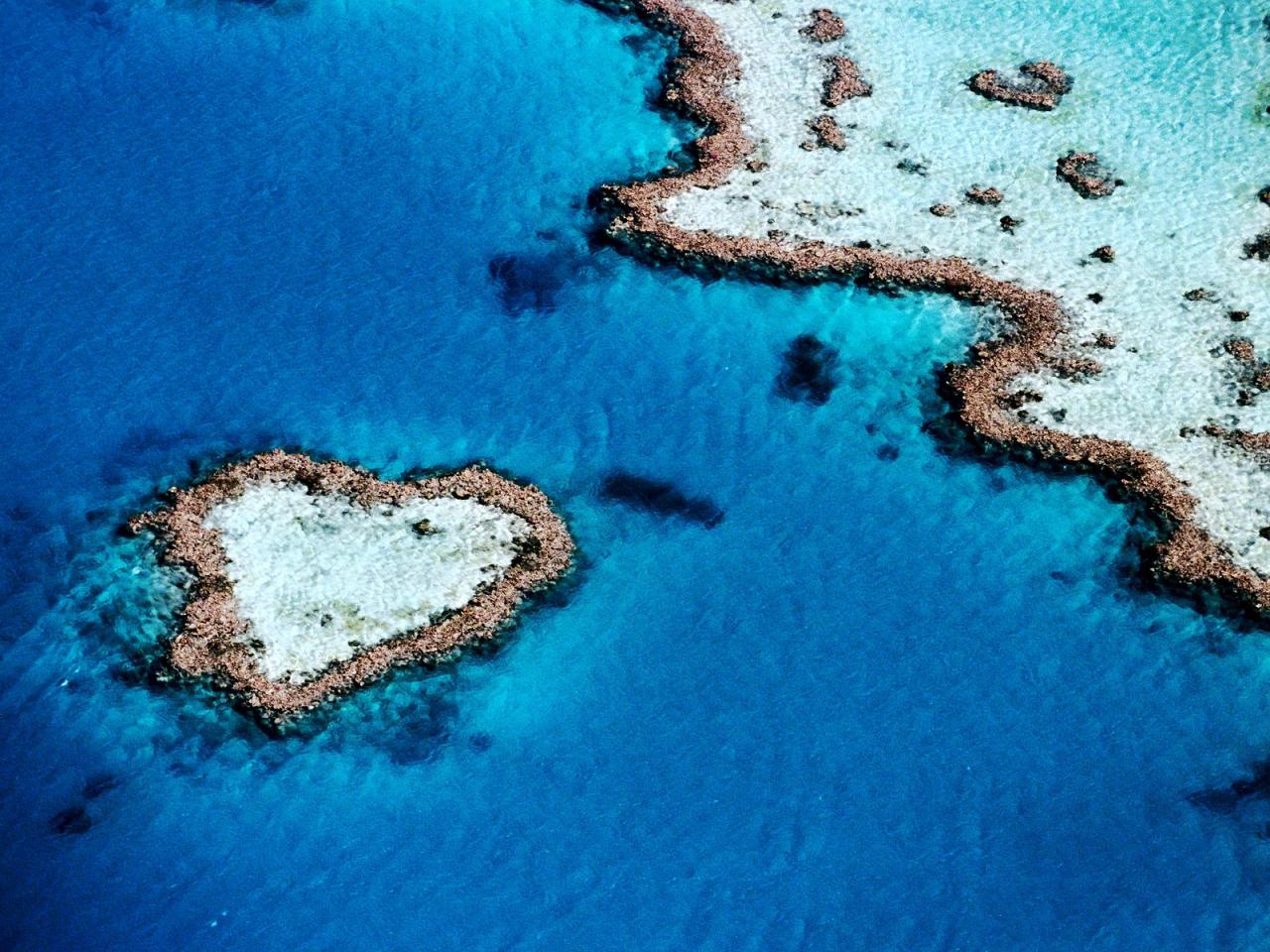 обои Aerial of Heart-Shaped Reef,   Hardy Reef,   Near Whitsunday Islands,   Queensland,   Australia фото