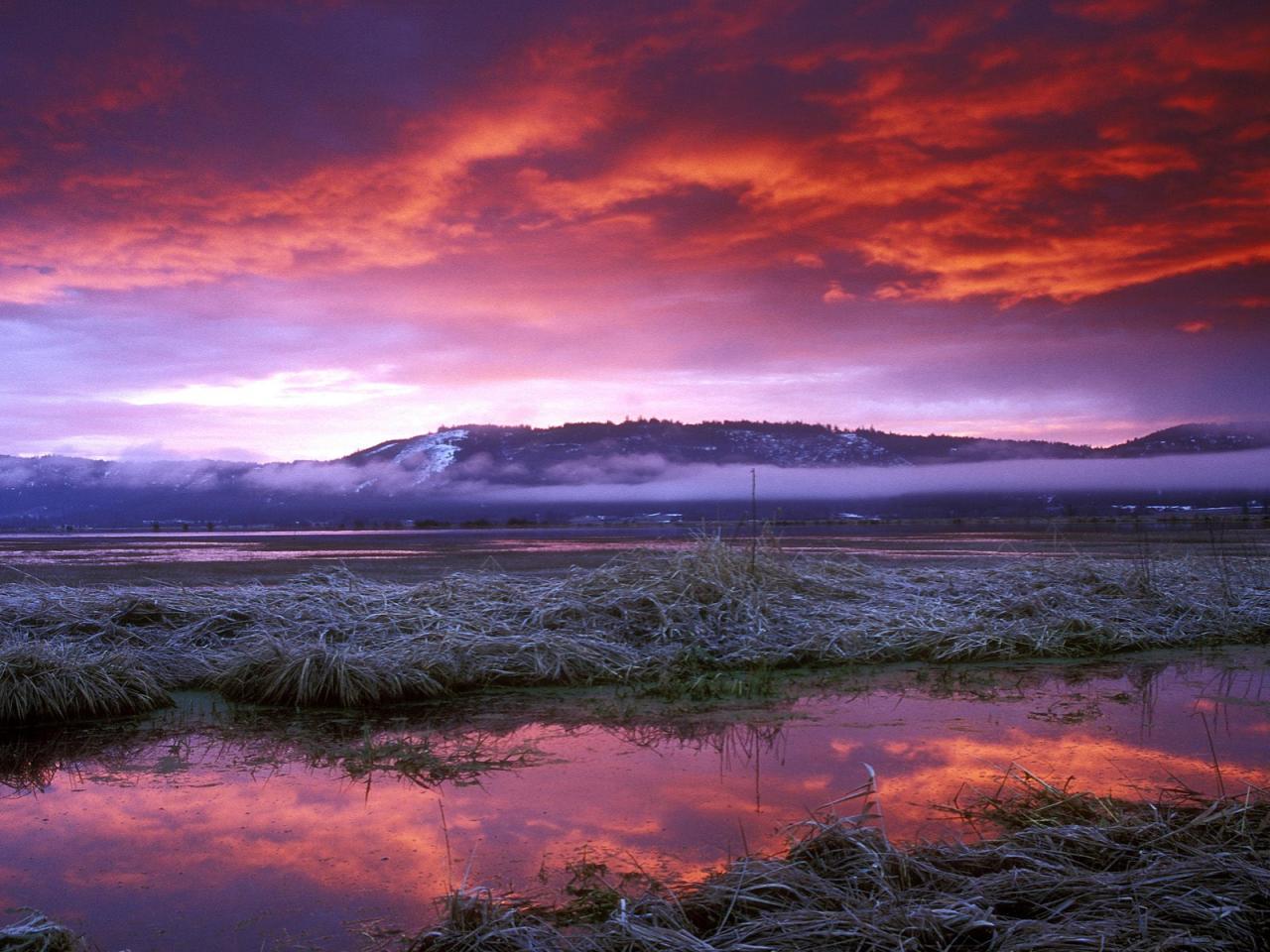 обои Conboy Lake National Wildlife Refuge,   Washington фото