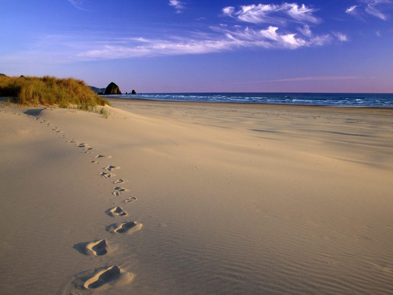 обои Footprints in the Sand,   Oregon Coast фото