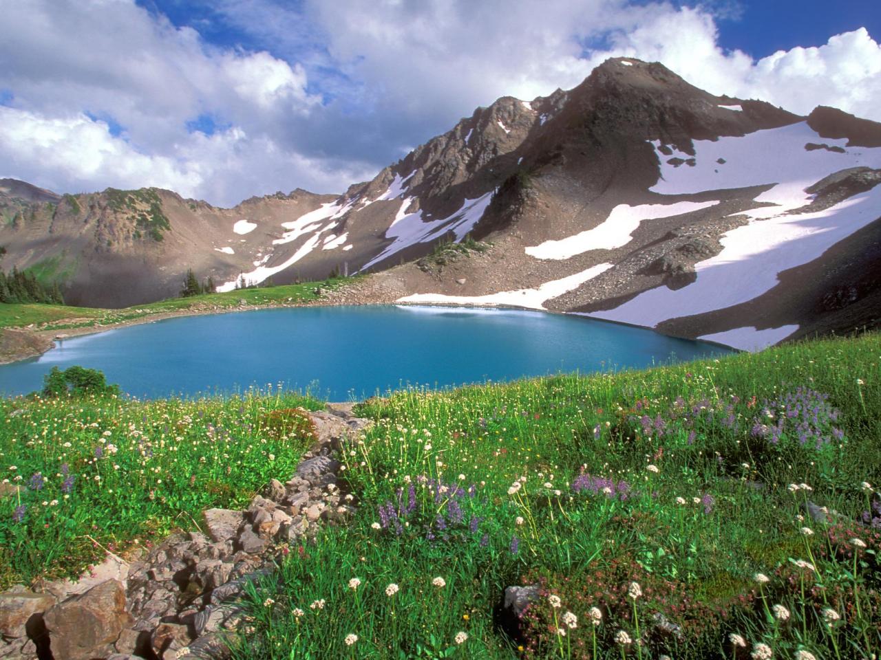 обои Alpine Tranquility,   Olympic National Park,   Washington фото