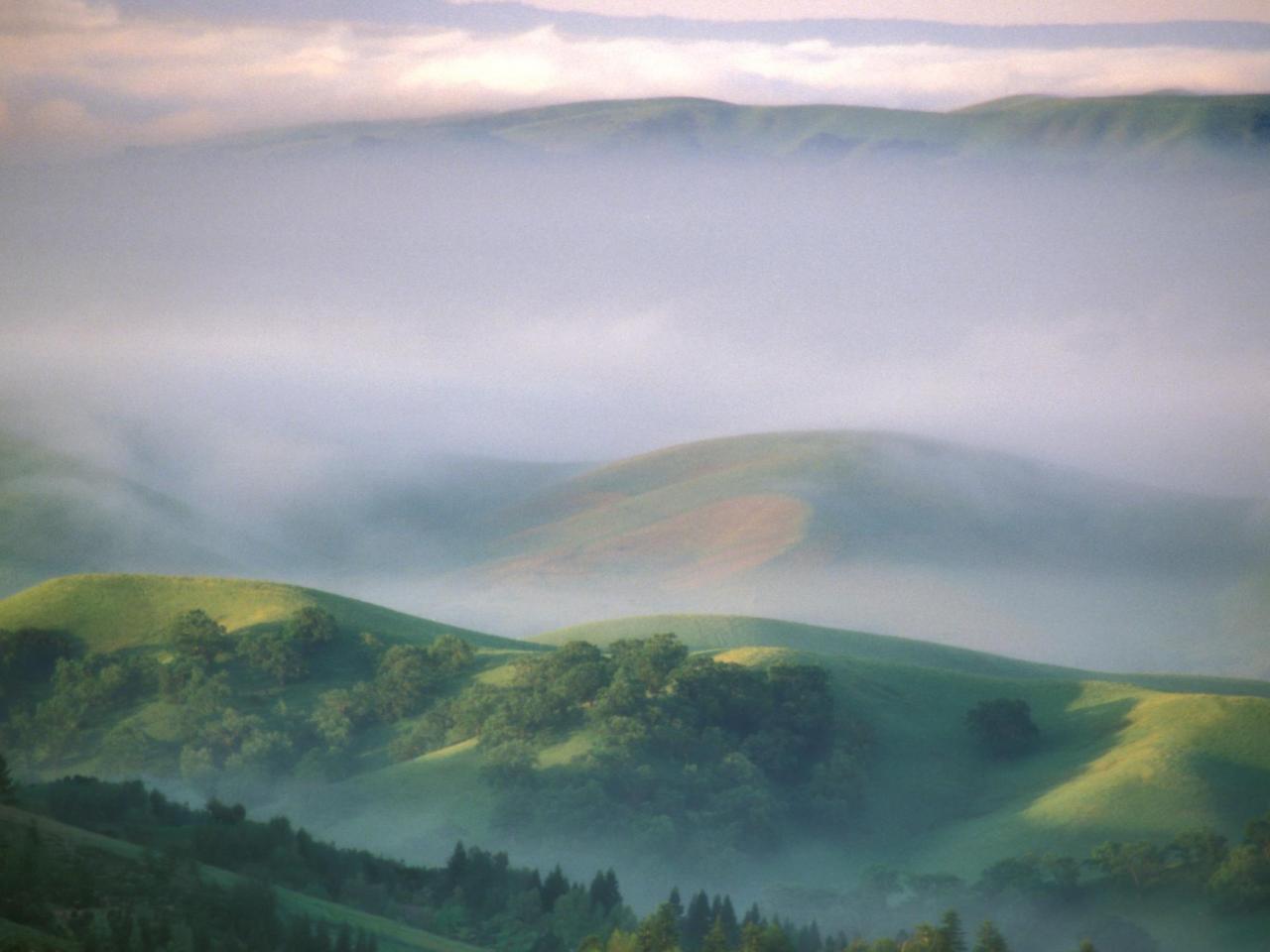 обои Mystical Morning,   Mount Diablo State Park,   California фото