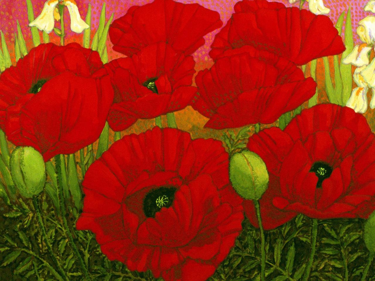 обои Poppies & White Irises,   John Newcomb фото