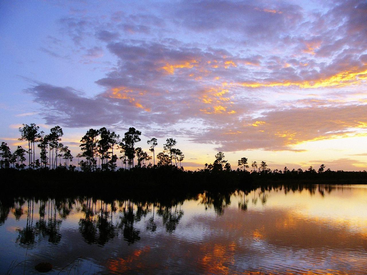 обои Everglades National Park at Sunset,   Florida фото