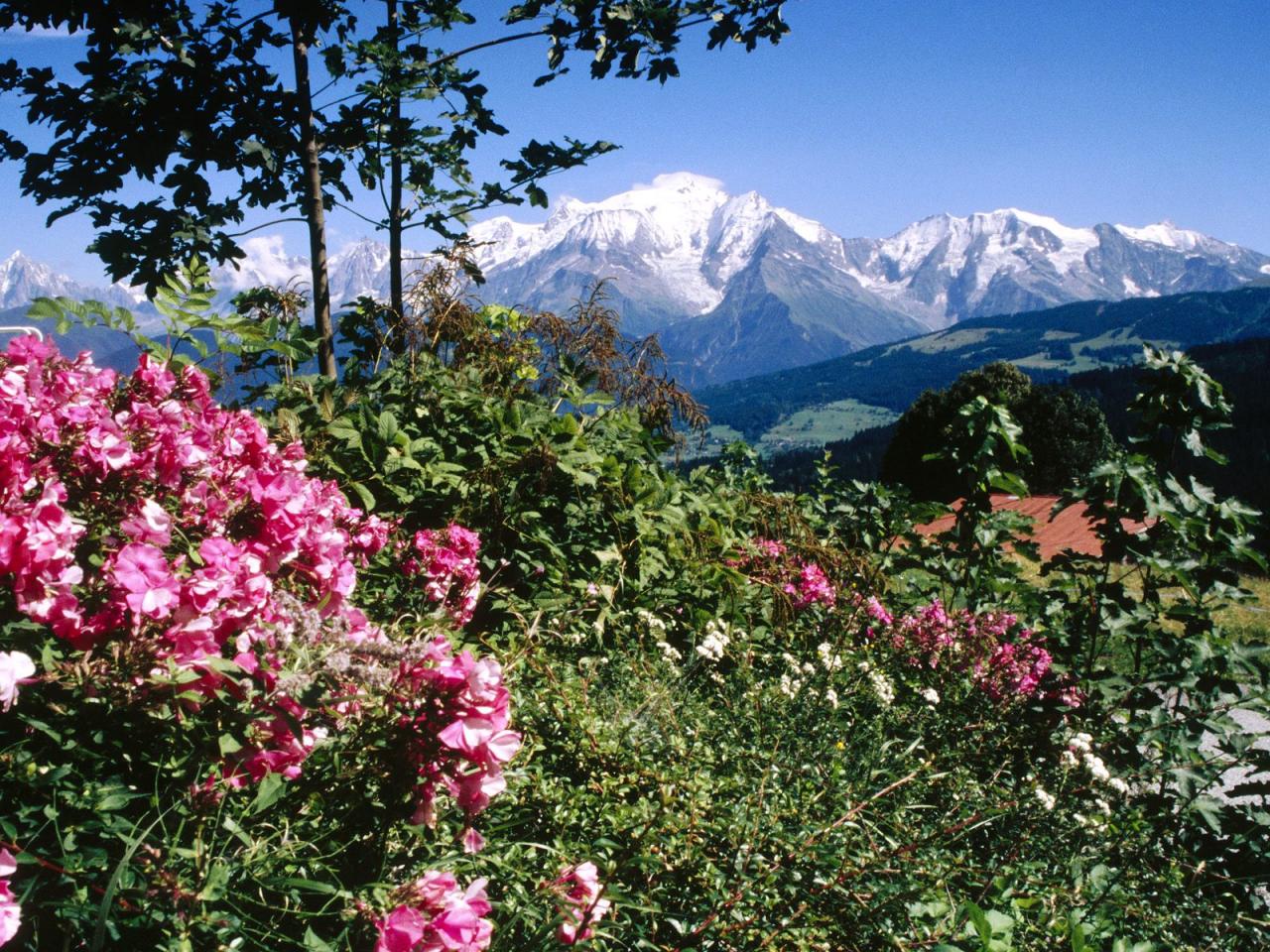 обои Mont Blanc,   View From Cordon Village,   Haute-Savoie,   France фото