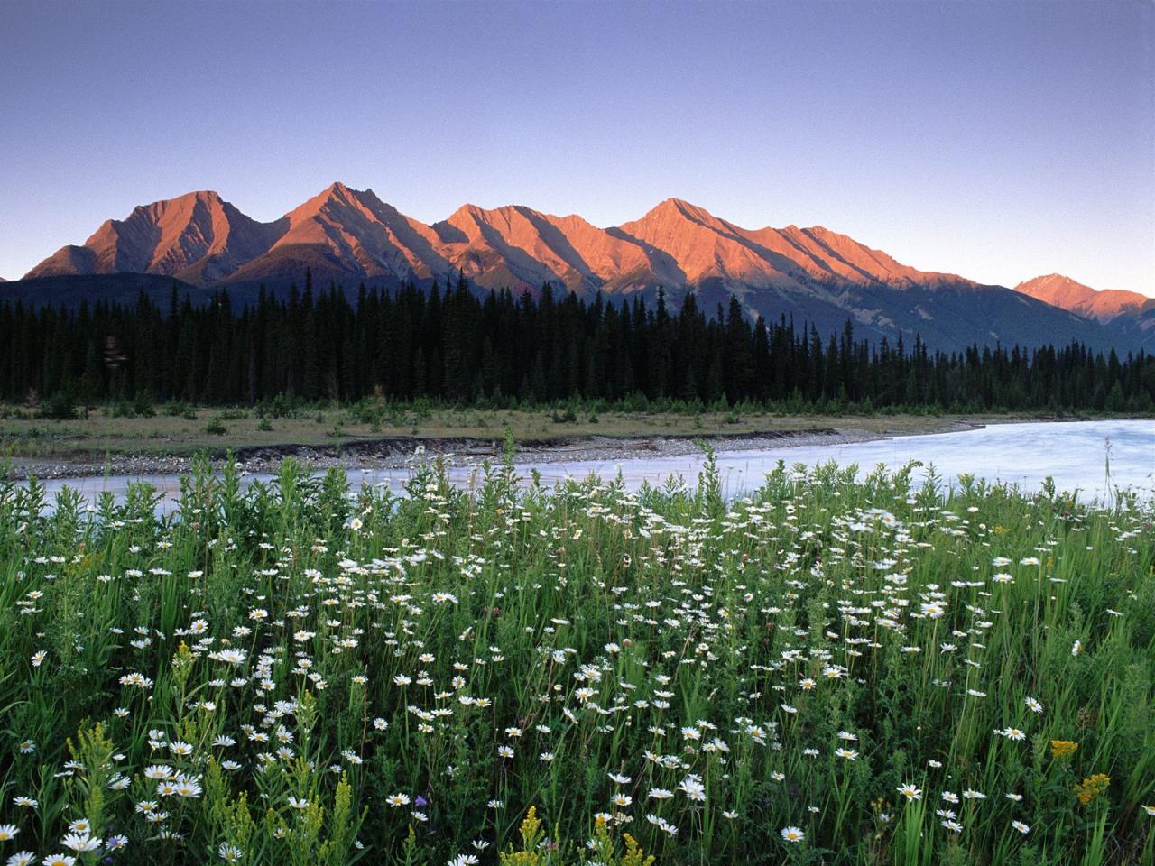 обои Rocky Mountains,   Kootenay National Park,   British Columbia,   Canada фото