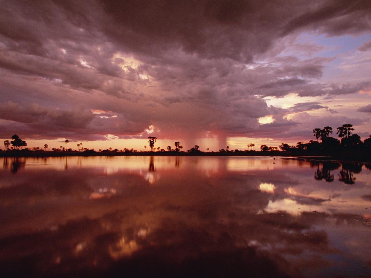 обои Storm Clouds Over a Watering Hole,   Okavango Delta,   Botswana фото