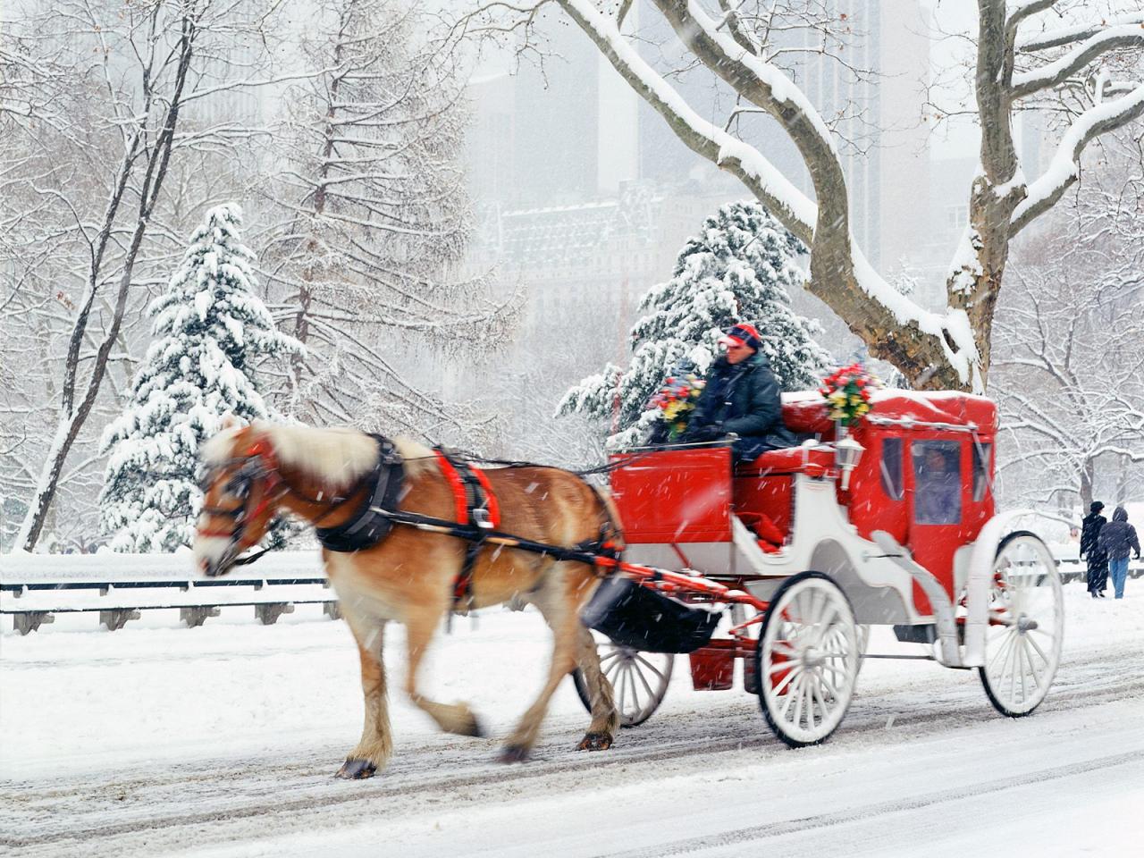 обои Hansom Cab,   Central Park,   New York фото