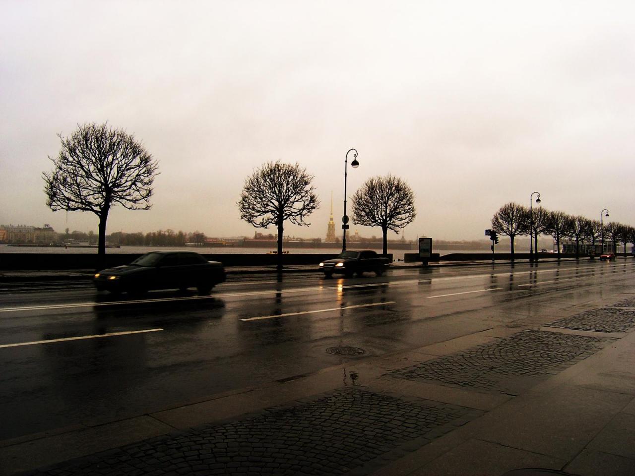 обои Дождь на дороге фото