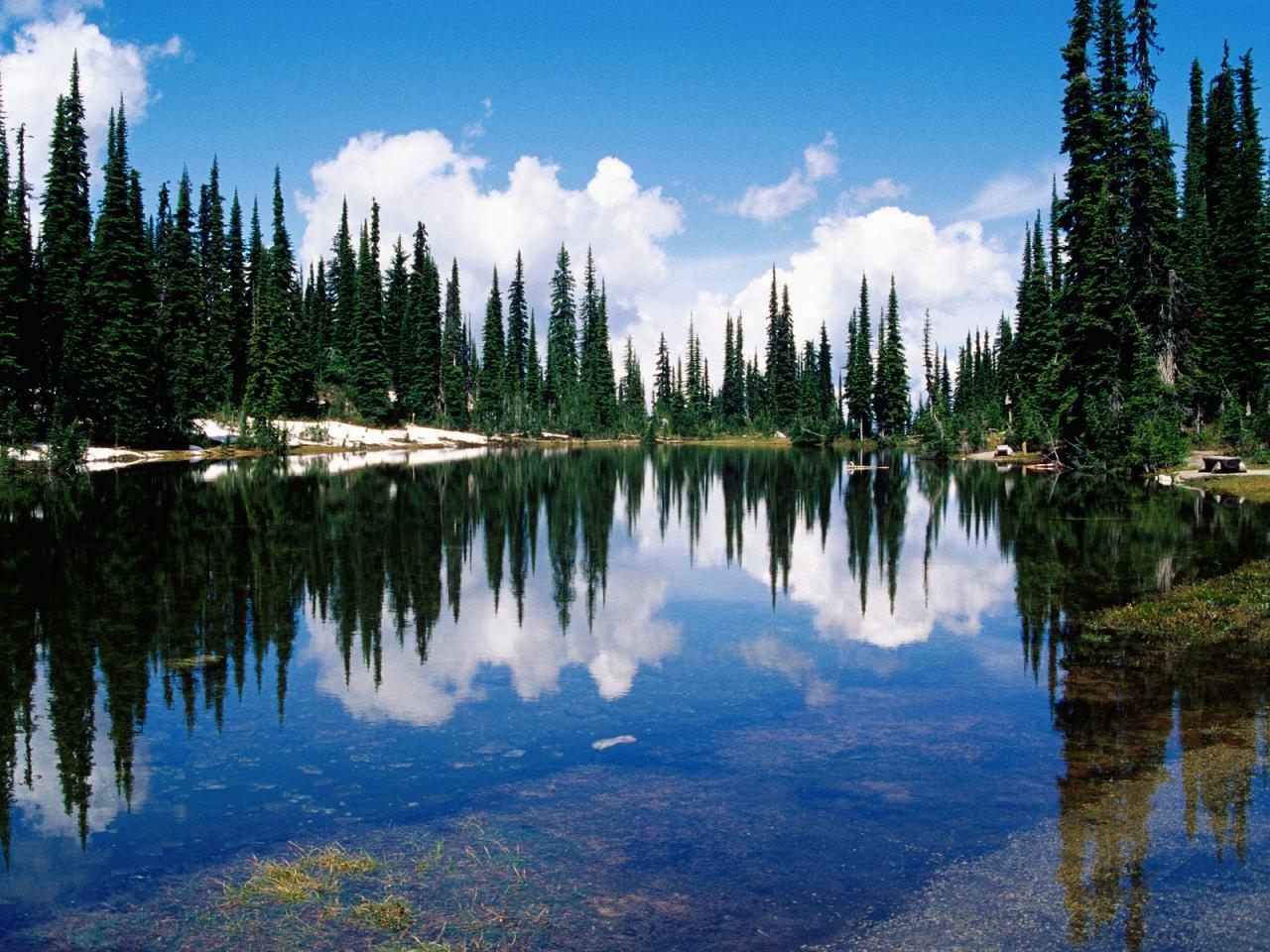 обои Balsam Lake,   Mount Revelstoke National Park,   British Columbia,   Canada фото