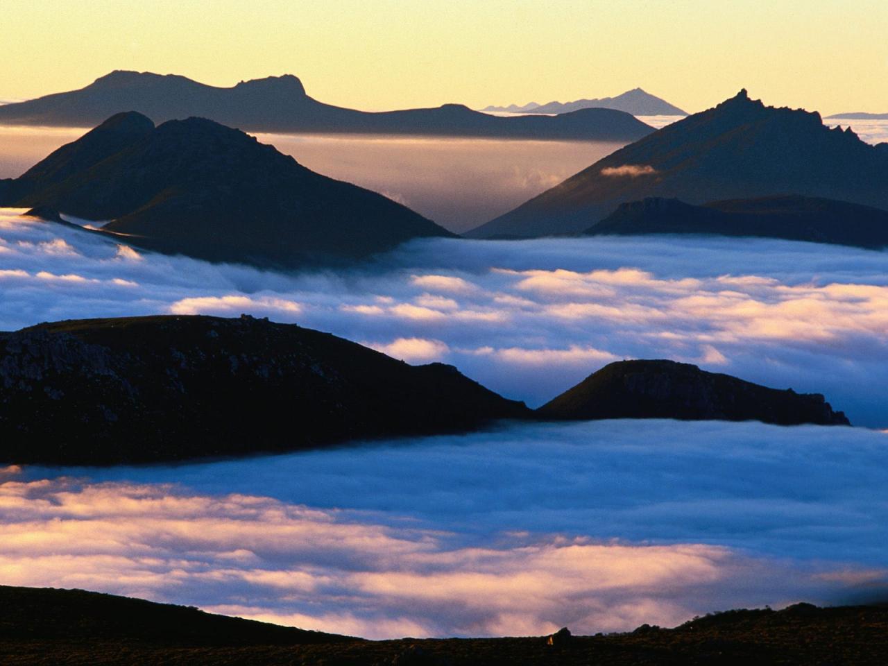 обои Valley Mist at Dawn,   South-West National Park,   Tasmania,   Australia фото