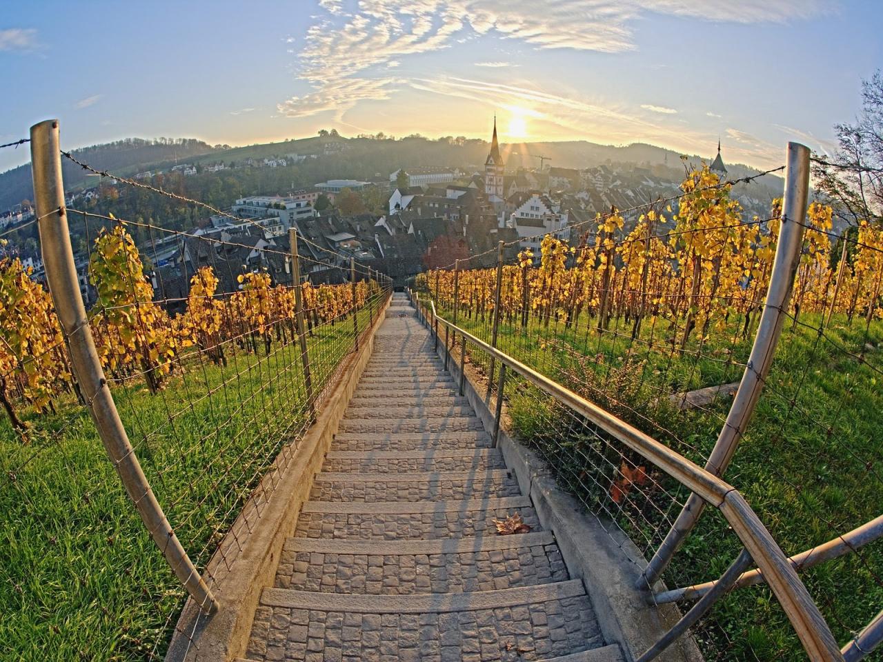 обои Vineyard at Sunset,   Munot Castle,   Schaffhausen,   Switzerland фото