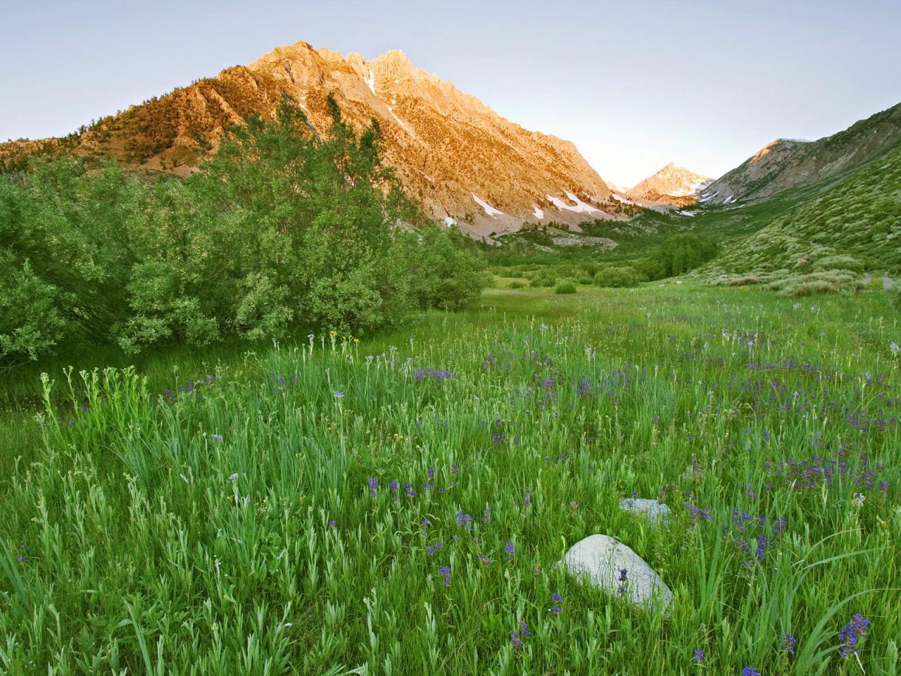 обои Horton Creek Valley,   Eastern Sierra,   California фото