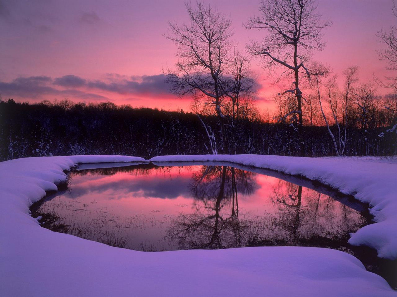 обои Mount Washington State Forest,   Massachusetts фото