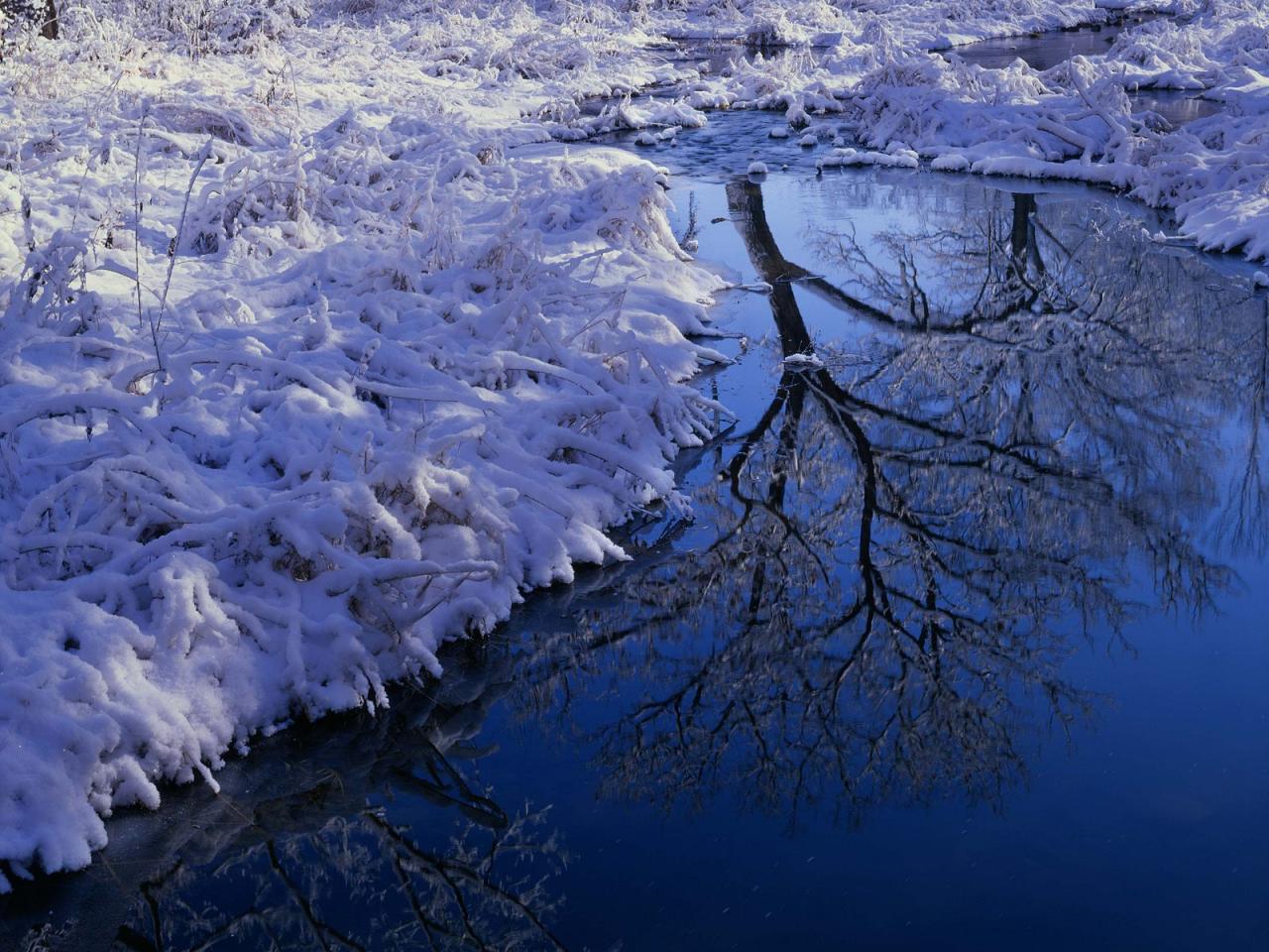 обои Winter Reflection,   Lisle,   Illinois фото