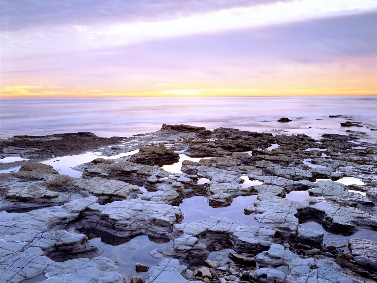 обои Tide Pools at Sunset,   San Diego,   California фото