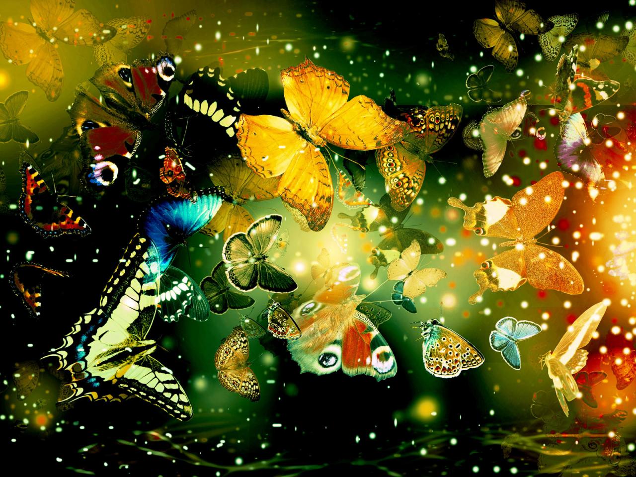 обои Bright Butterflies фото