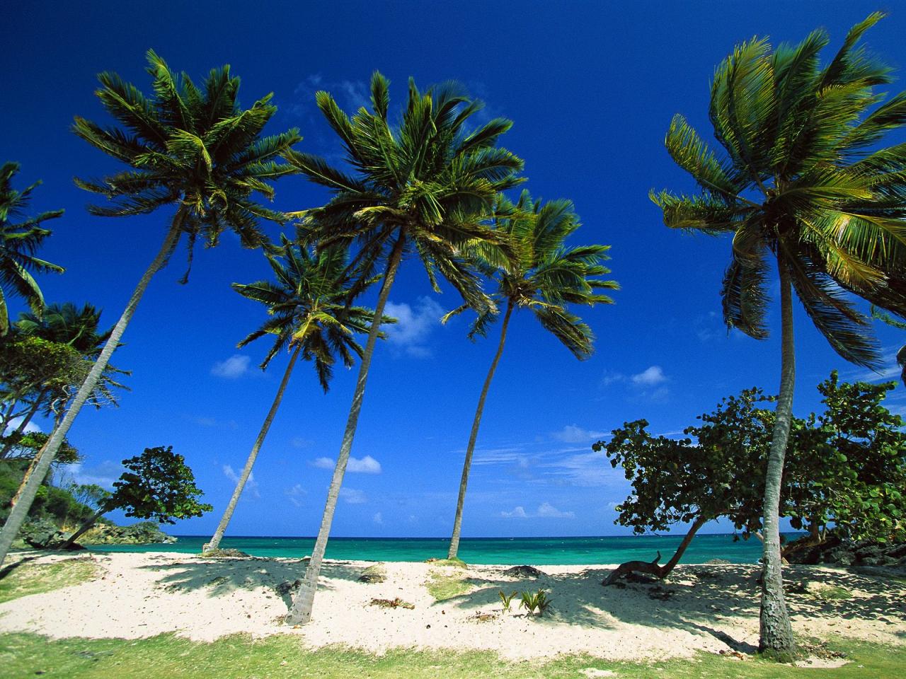 обои Bacardi Beach,   Cayo Levantado,   Dominican Republic фото