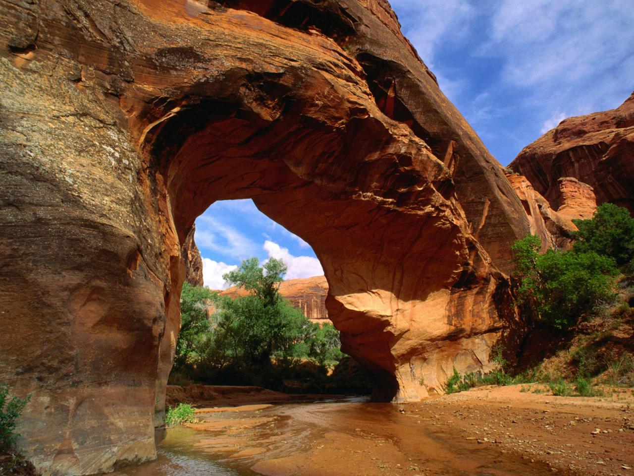 обои Coyote Natural Bridge,   Glen Canyon,   Utah фото