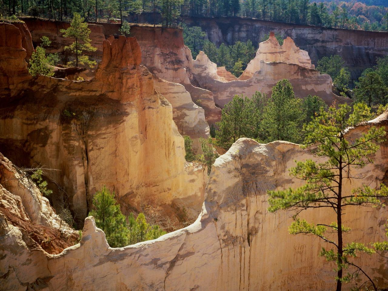 обои Providence Canyon State Park,   Lumpkin,   Georgia фото