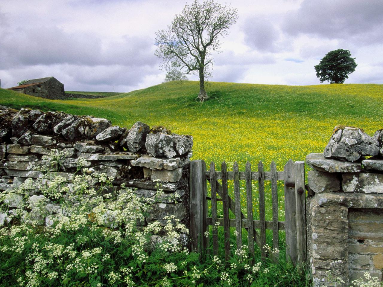 обои Swaledale Valley,   Yorkshire,   United Kingdom фото