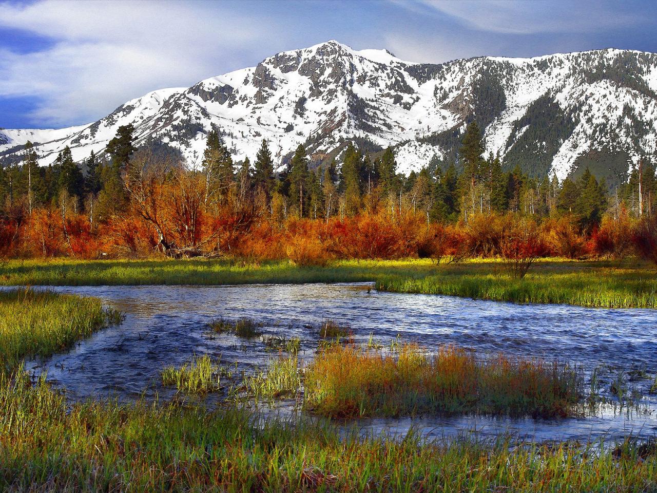 обои Taylor Creek,   Mount Tallac,   California фото