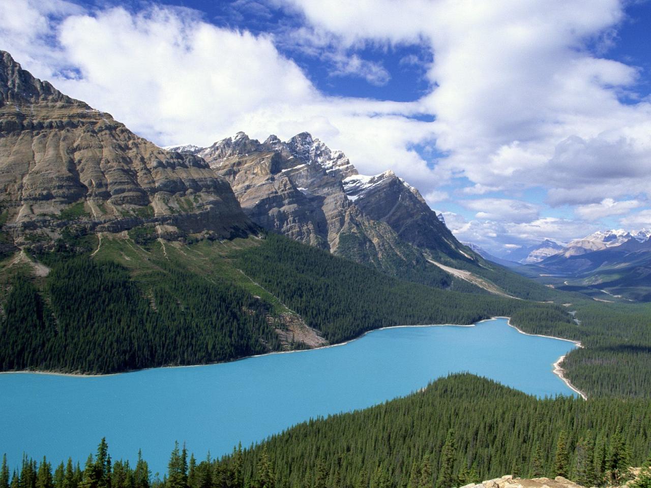 обои Peyto Lake,   Jasper National Park,   Alberta,   Canada фото