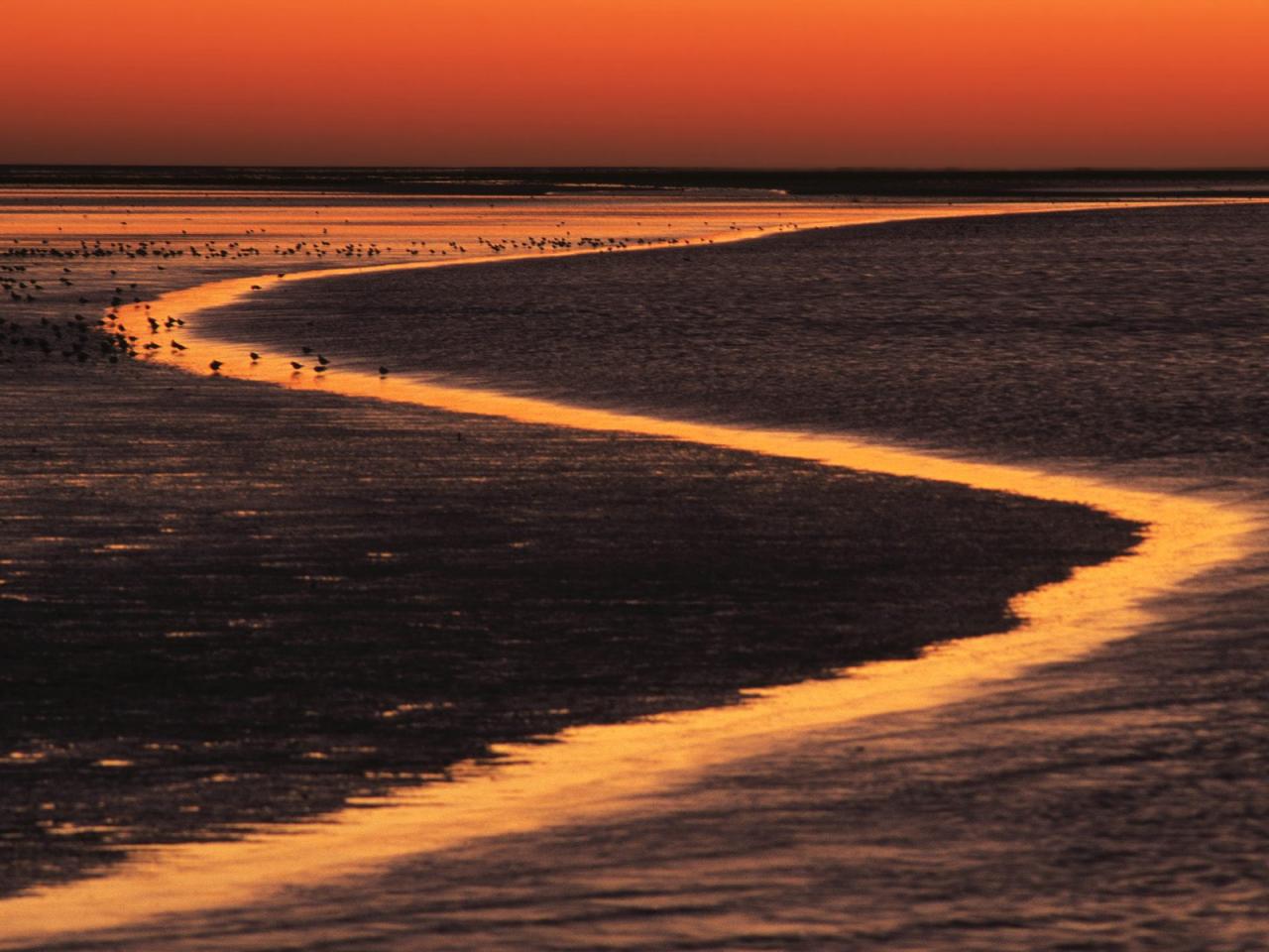 обои Wadden Island Estuary at Sunset,   The Netherlands фото