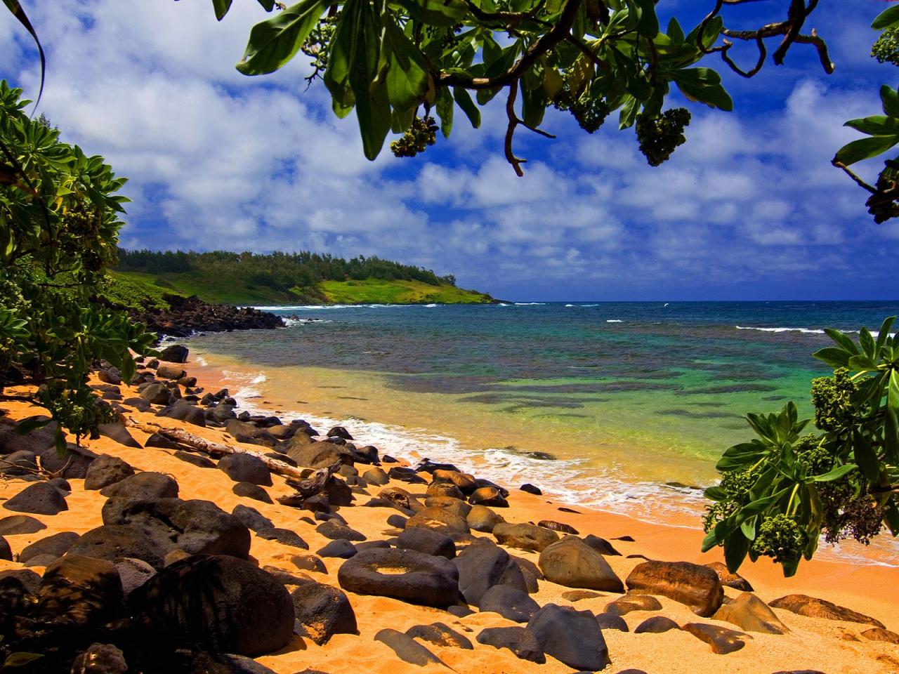 обои Beach Shade,   Moloaa,   Kauai,   Hawaii фото