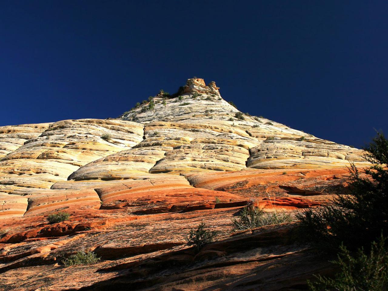 обои Checkerboard Mesa,   Zion National Park,   Utah фото