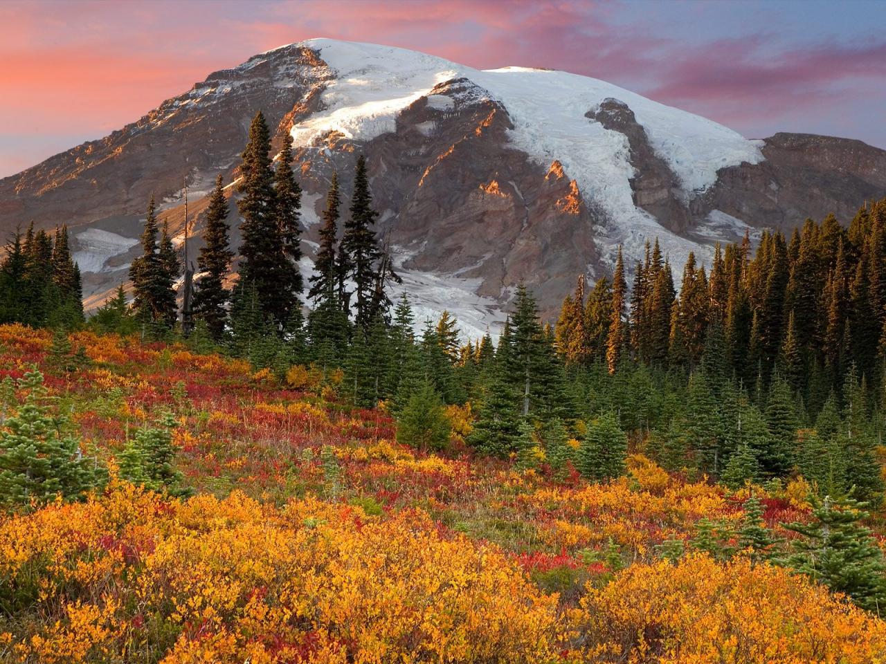 обои Fall in Paradise,   Mount Rainier National Park фото