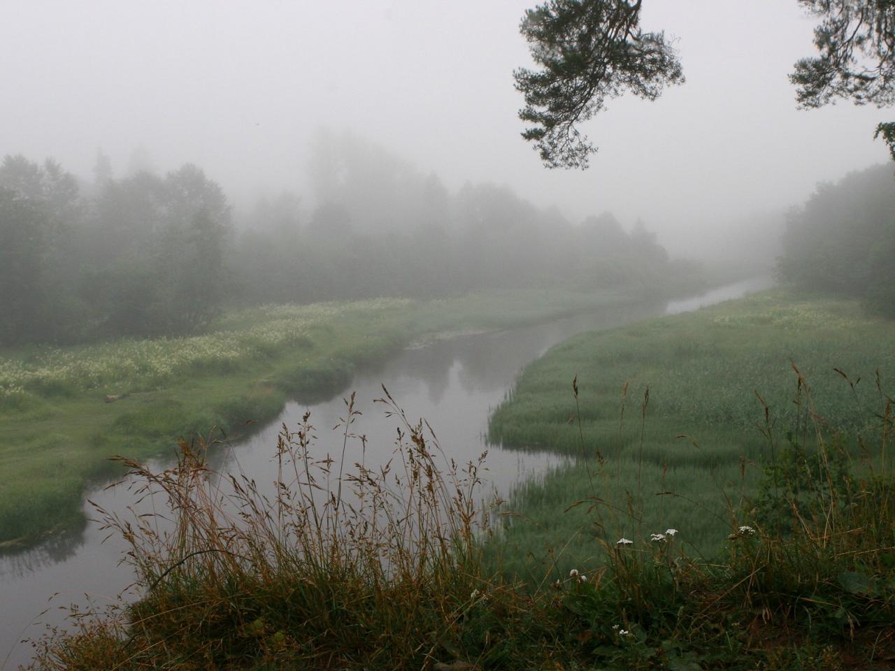 обои Озеро в тумане фото