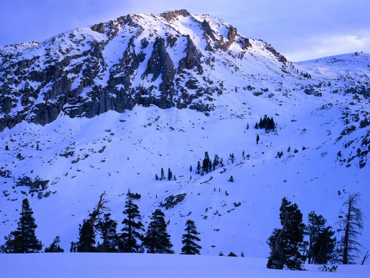 обои Snow-Covered,   Sequoia National Park,   California фото