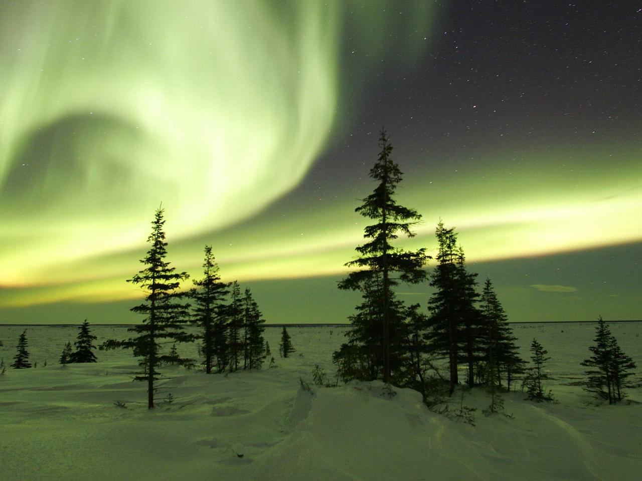 обои The Northern Lights in Winter,   Churchill,   Manitoba,   Canada фото