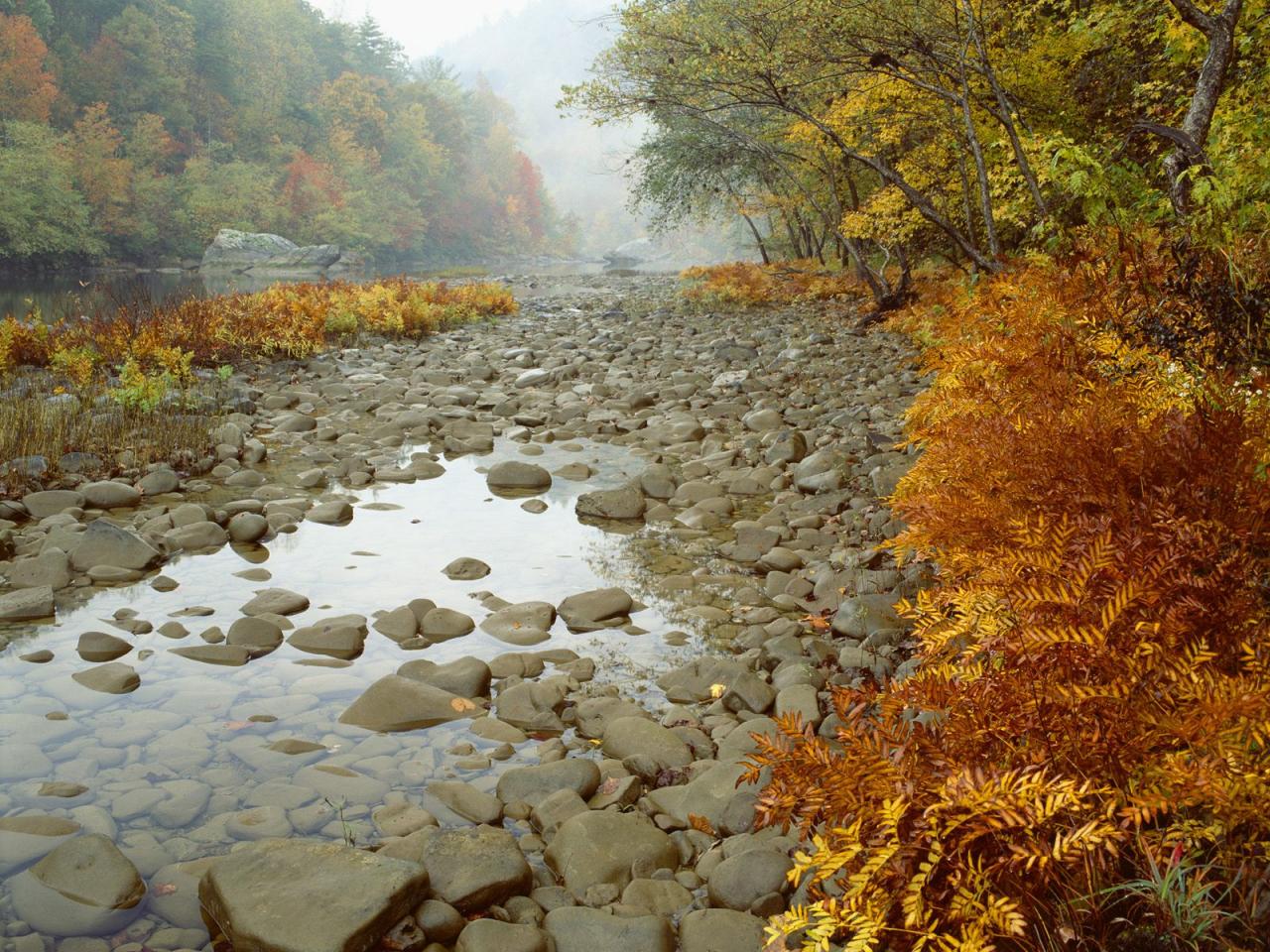 обои Big South Fork National River,   Tennessee фото