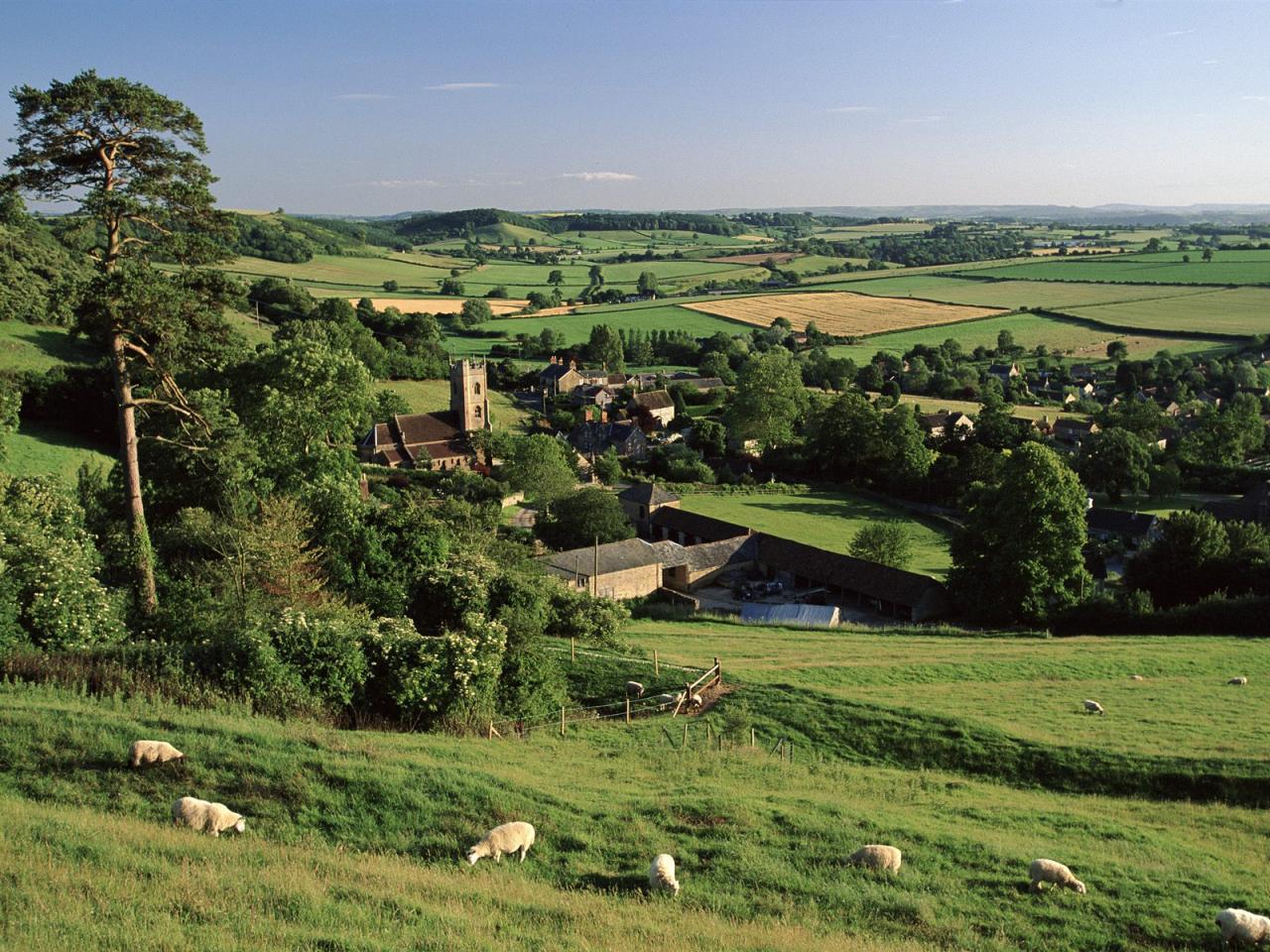 обои Corton Denham Village,   Somerset,   England фото